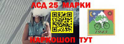 гидропоника Новозыбков