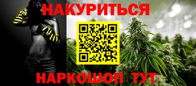 гидропоника Новозыбков