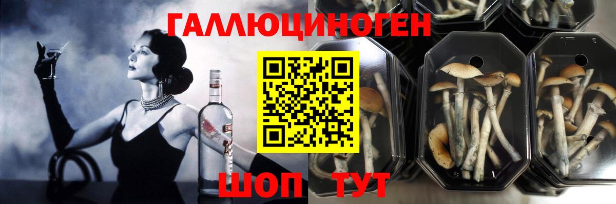 Псилоцибиновые грибы GOLDEN TEACHER  хочу   Ростов Великий  Вход с VPN 